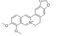 甲磺酸酯与氨基的反应